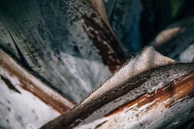 Close-up of snow on wood