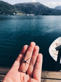 Cropped hand holding small starfish 