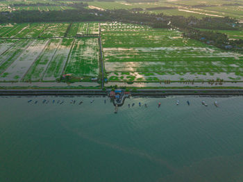 High angle view of agricultural landscape