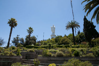 Statue of palm trees against clear sky