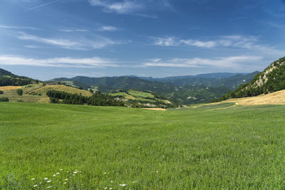 Scenic view of field against sky