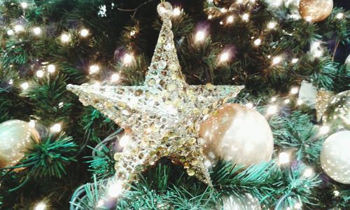 Close-up of illuminated christmas tree