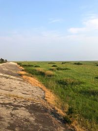 Scenic view of landscape against sky