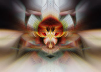 Digital composite image of flower