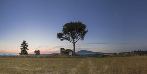Trees on field against sky, mount vulture, basilicata, italy