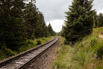 Railroad tracks amidst trees against sky