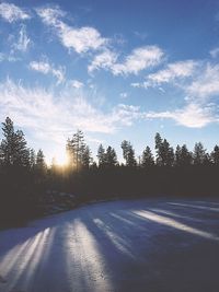 Scenic view of frozen lake by silhouette trees during winter