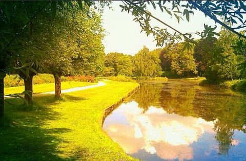 water, tree, tranquility, reflection, tranquil scene, scenics, beauty in nature, nature, lake, growth, yellow, sky, landscape, idyllic, grass, green color, river, standing water, waterfront, outdoors