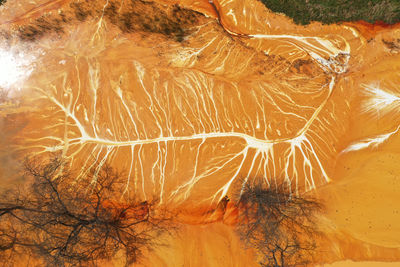 Scenic view of desert