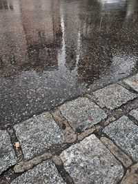 Reflection of trees in puddle