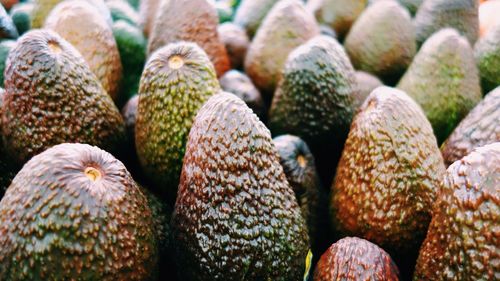 Full frame shot of avocado at market