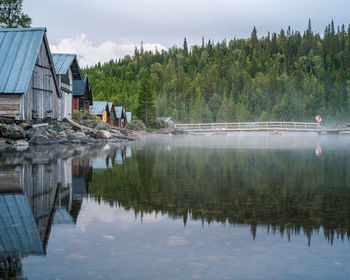 Reflection of trees in lake against sky