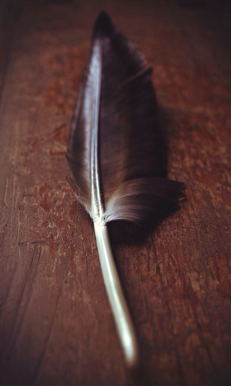 FEATHER ON WOOD