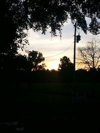 Silhouette of trees at sunset