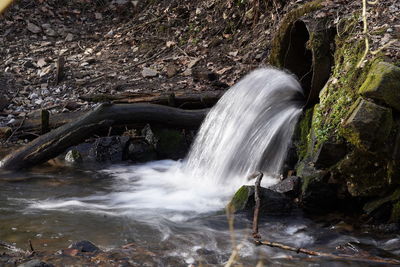 Scenic view of waterfall in forest