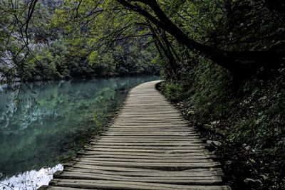 Pier amidst trees