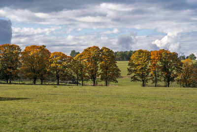 Trees on field against sky during autumn