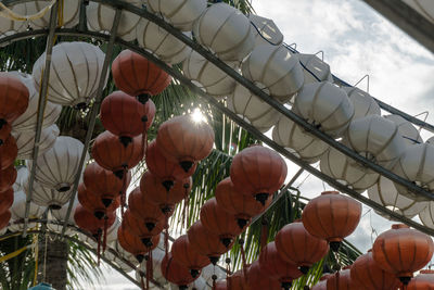 Low angle view of pumpkins against sky