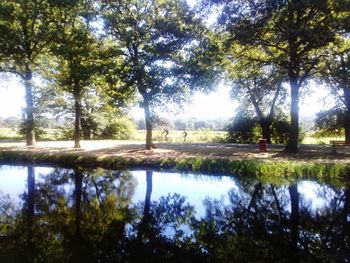 Scenic view of lake amidst trees against sky