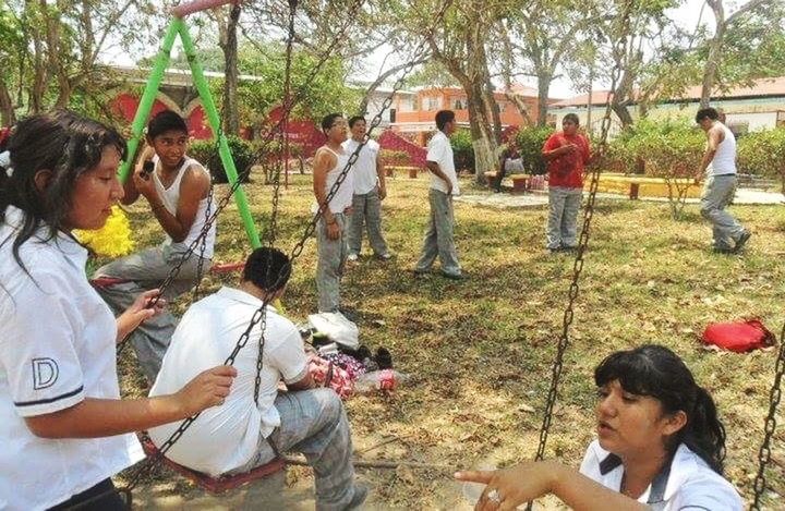 lifestyles, leisure activity, girls, tree, togetherness, childhood, casual clothing, large group of people, standing, person, full length, day, park - man made space, field, outdoors