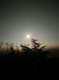 Low angle view of silhouette trees against sky