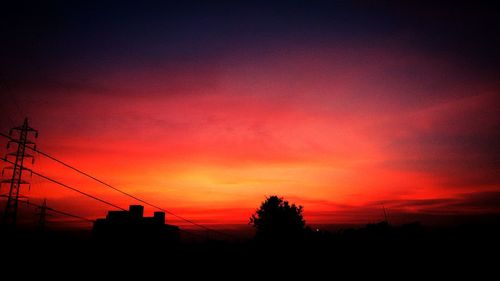 Low angle view of silhouette trees against orange sky