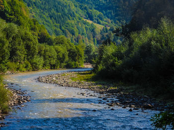 Valley of river iza-maramures