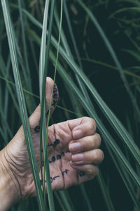 Close-up of hand with text holding leaves