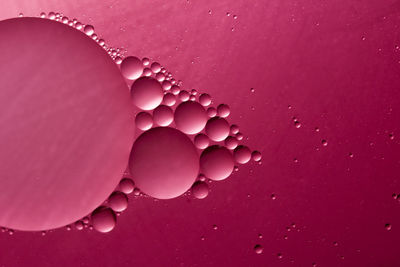 Close-up of bubbles over water against white background