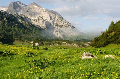 Scenic view of field and mountains against sky