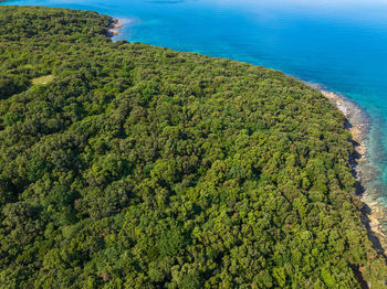 High angle view of beach