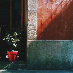 Potted plants on wall