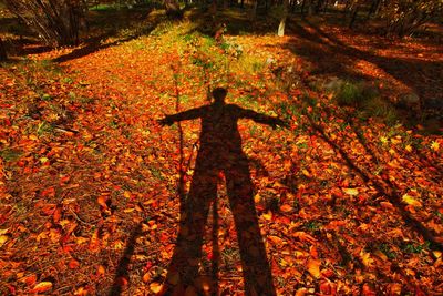 Shadow of a man on ground