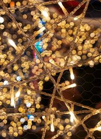 Close-up of light bulb hanging at night