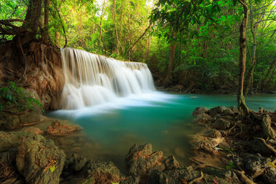 Scenic view of waterfall in forest