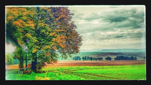 Scenic view of field against cloudy sky