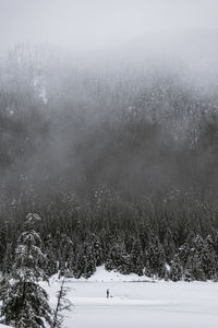 Scenic view of snow covered field during winter