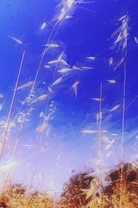 Low angle view of trees against blue sky