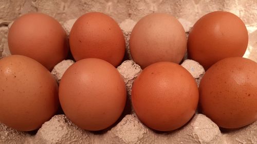 Close-up of eggs in container