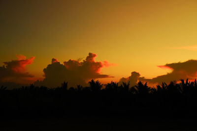 Silhouette trees against dramatic sky during sunset