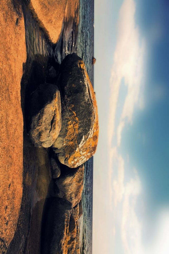 CLOSE-UP OF TREE TRUNK BY SEA