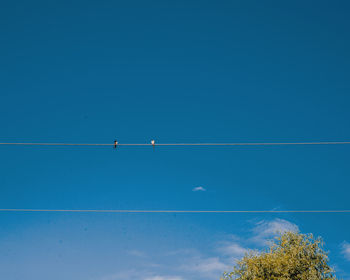 Low angle view of vapor trail against clear blue sky