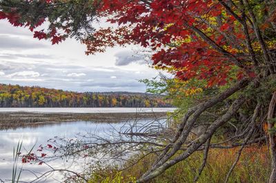 Scenic view of lake against sky during autumn