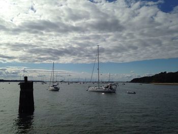 Boats moored at harbor