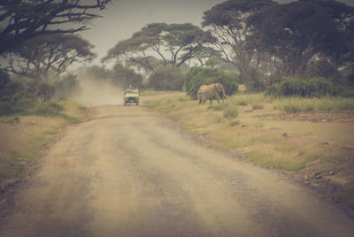 Dirt road passing through field