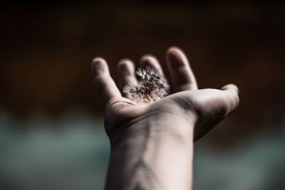 Close-up of person holding hand