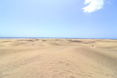 Scenic view of sand dune on beach against sky
