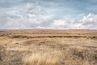 Scenic view of field against sky