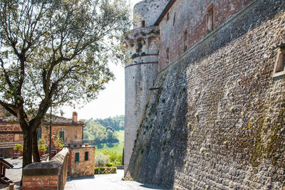 Stone wall of old building and trees