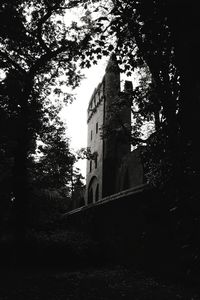 Low angle view of trees and building against sky